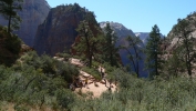 PICTURES/Angels Landing - Zion/t_Road to AL3.JPG